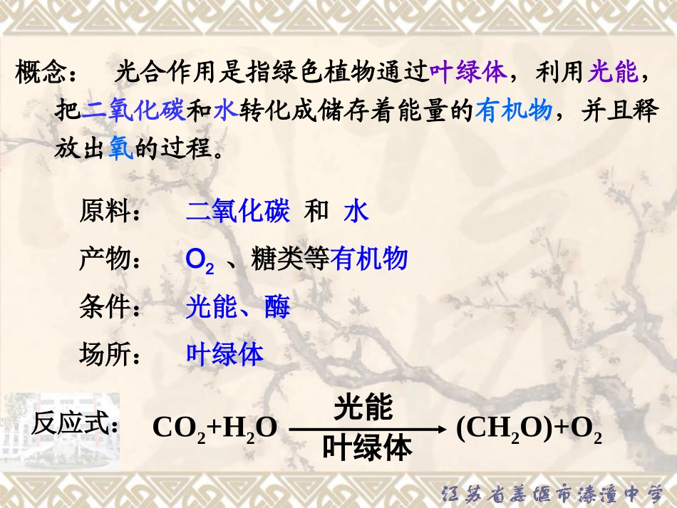 环境因素对光合作用的影响、农业生产及温室中提高农作物产量的方法(2010-12-29)_第3页