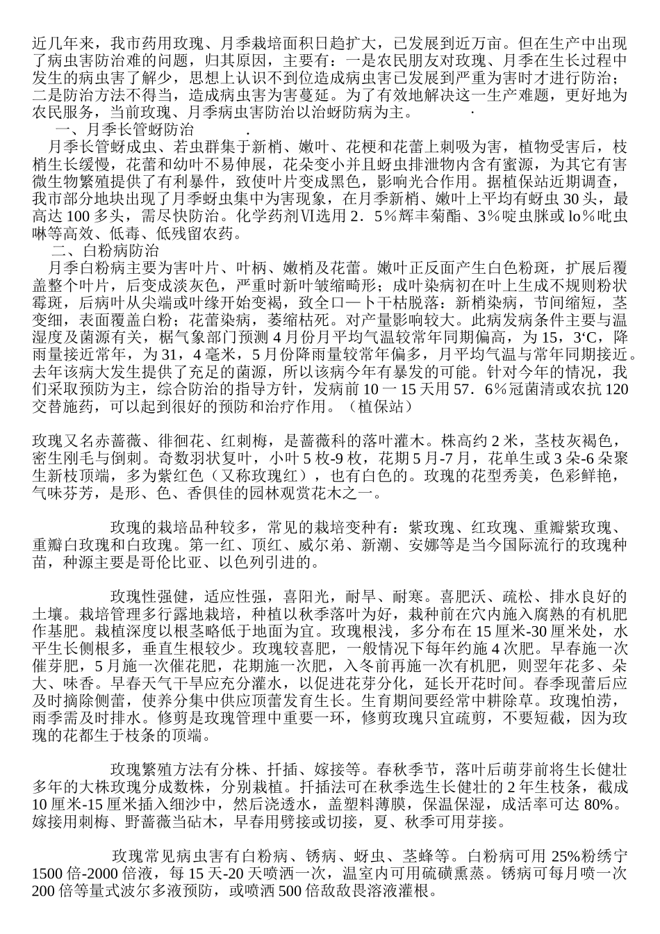 玫瑰病虫害防治_第3页