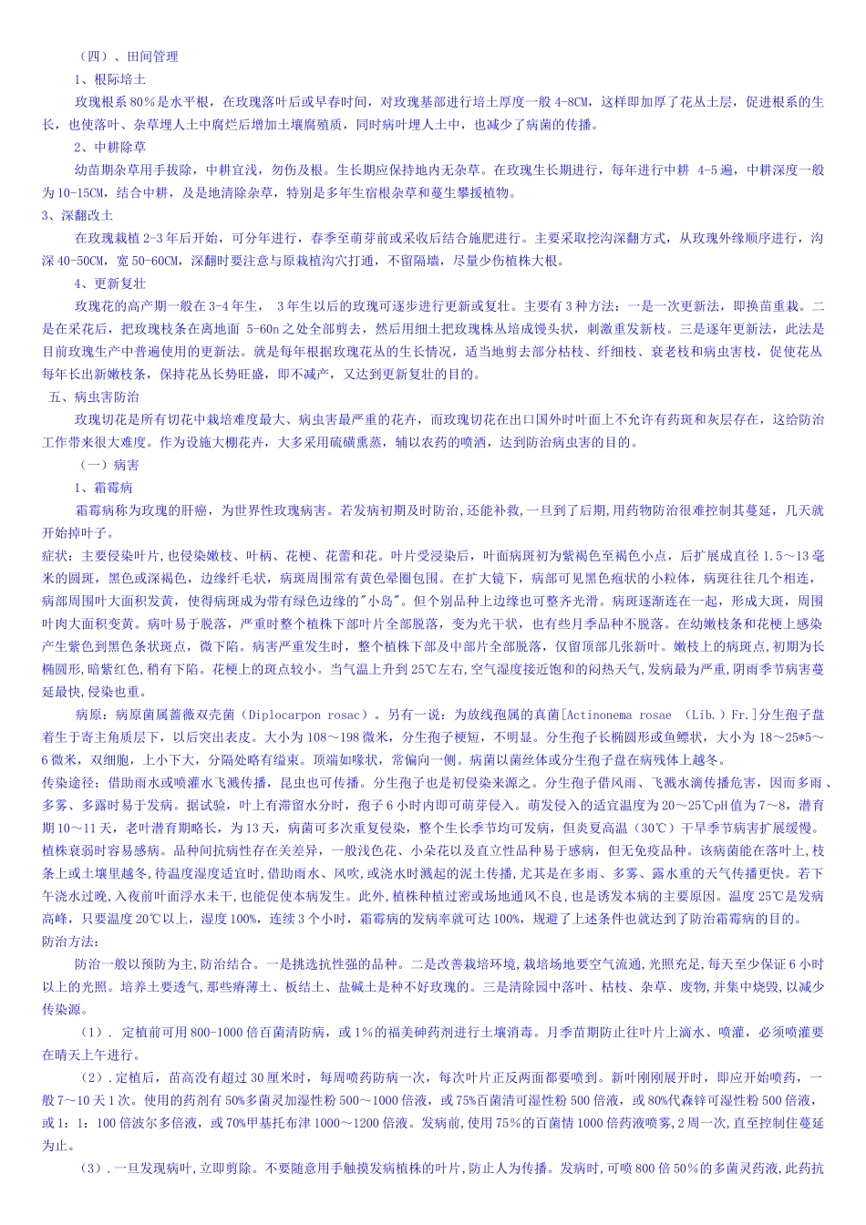 玫 瑰 苗要怎样种植？_第3页