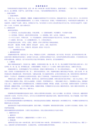 玫 瑰 苗要怎样种植？