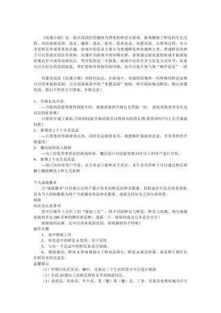 玫瑰小镇全攻略