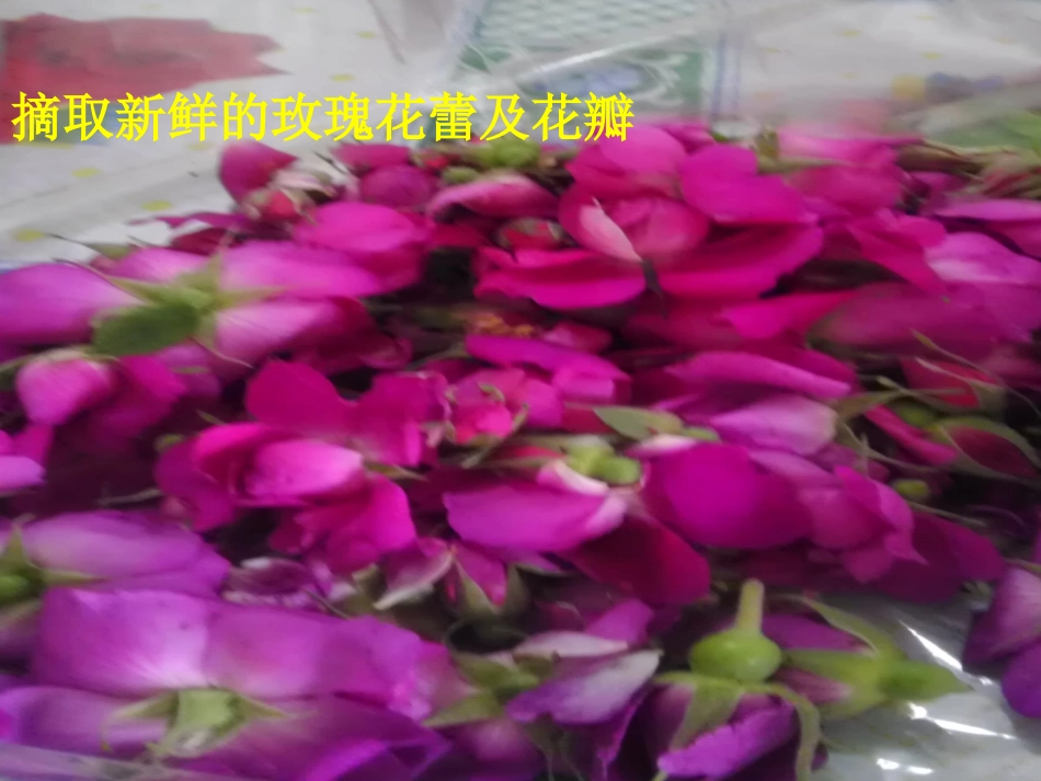 玫瑰花露水自制_第2页