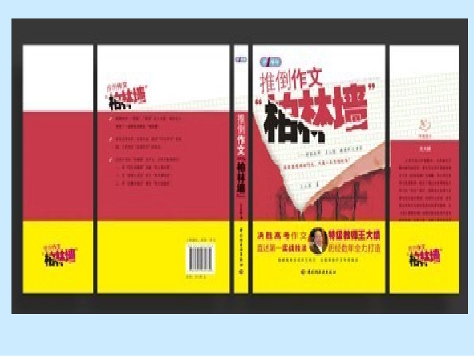 王大绩  语文教学_第3页