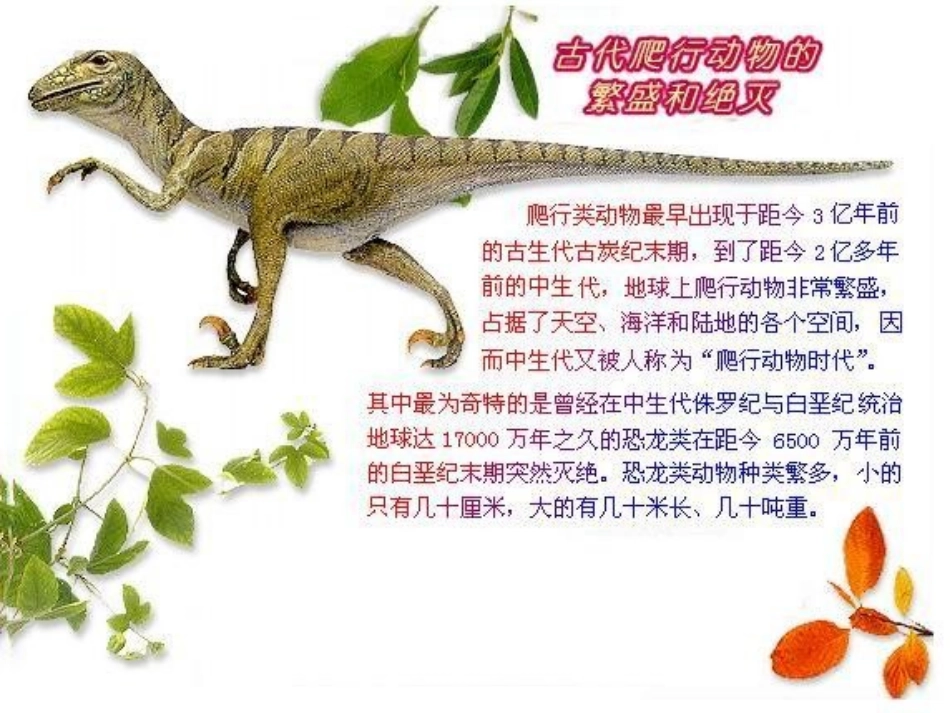 王玉萍2011.11观摩课_第2页