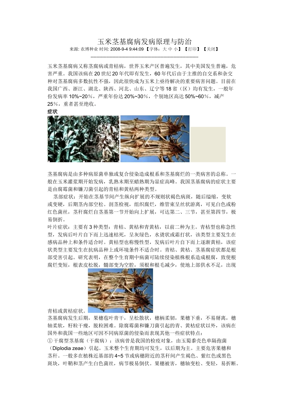 玉米茎基腐病发病原理与防治_第1页