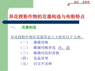 玉米育种 - 玉米育种