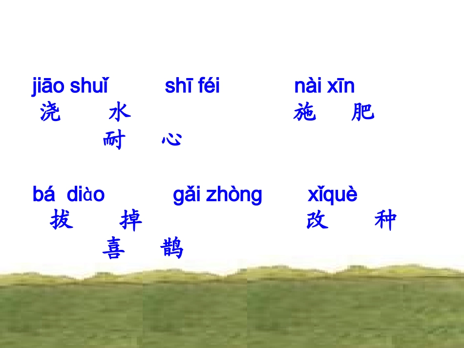 猴子种果树第一课时_第3页
