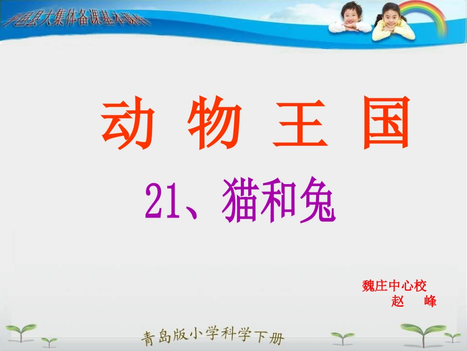 猫和兔的共同特征_第1页