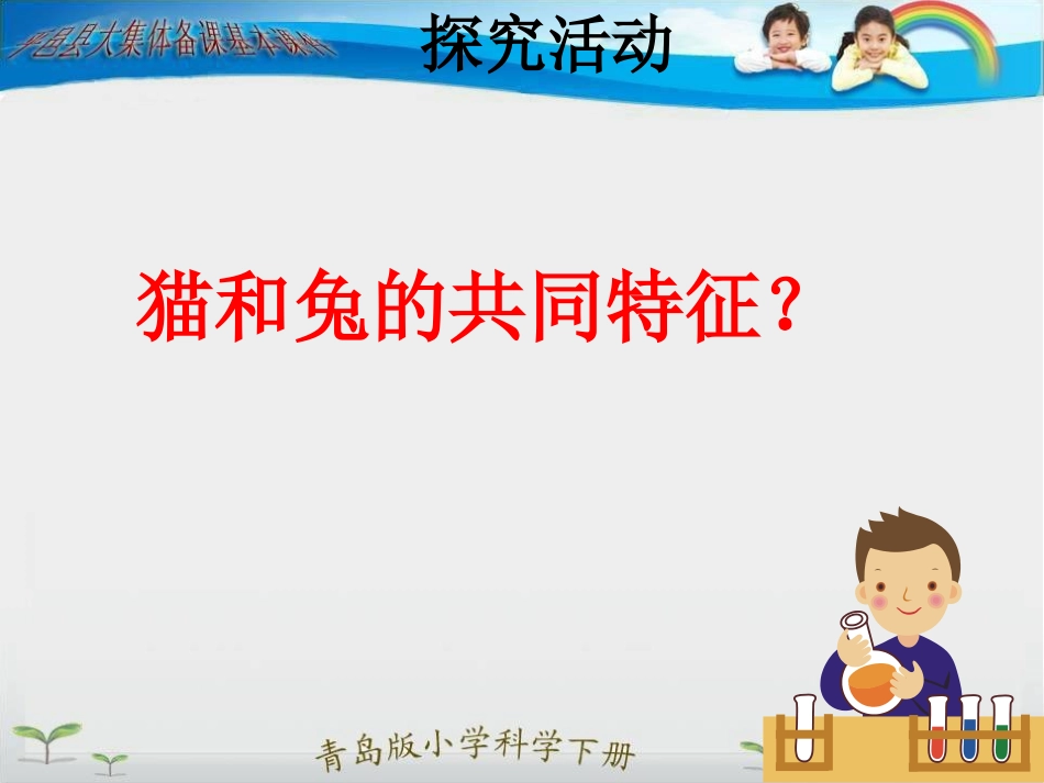 猫和兔的共同特征_第2页