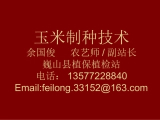 玉米制种技术