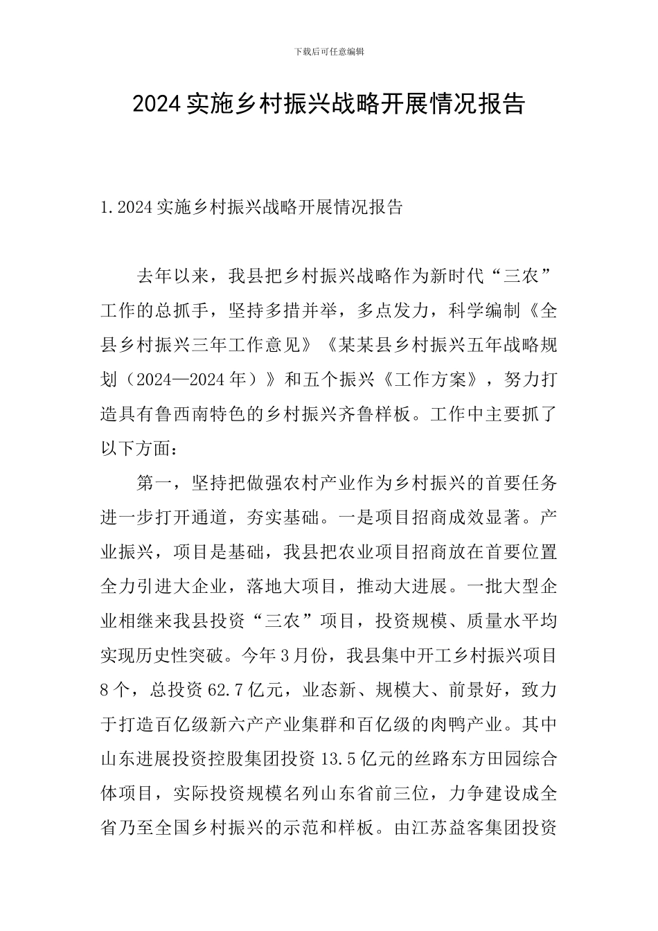 2024实施乡村振兴战略开展情况报告_第1页