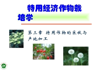 特用经济作物栽培学3