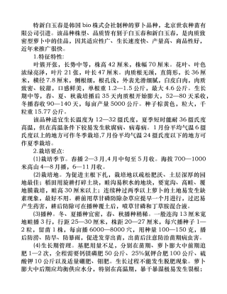 特新白玉春萝卜栽培技术