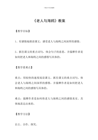 《老人与海鸥》教案