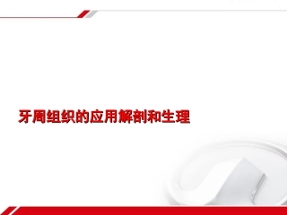 牙周组织的解剖生理