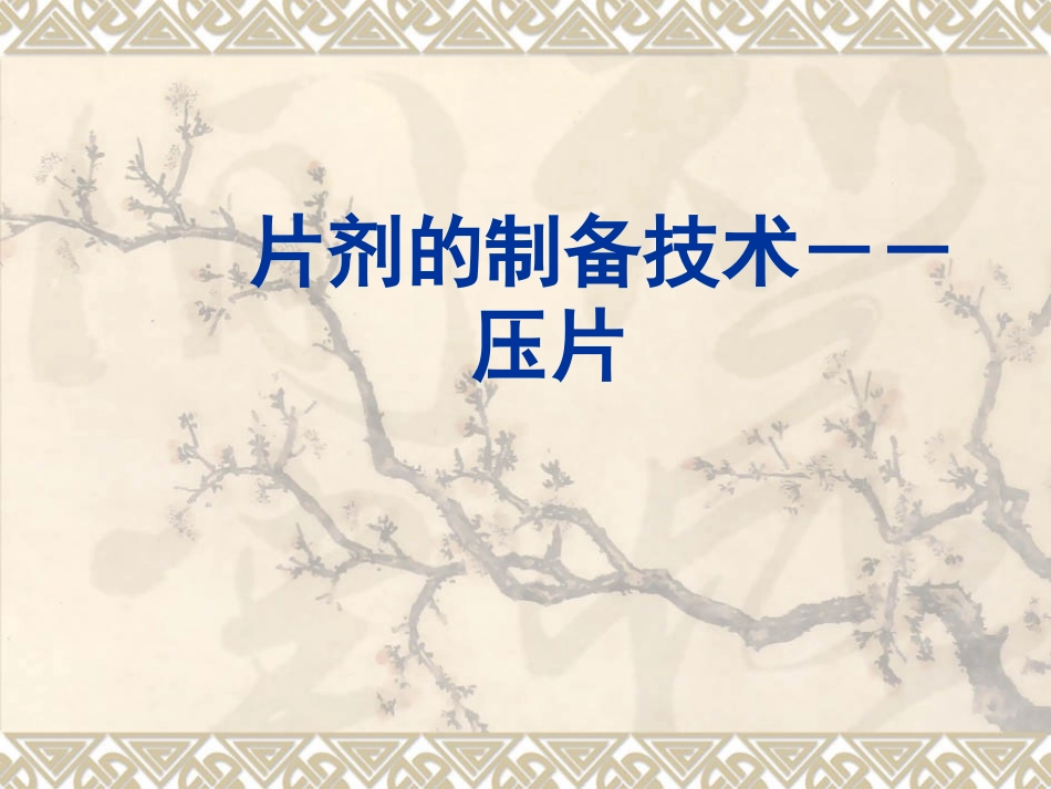 片剂的制备技术--压片_第1页