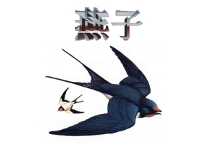 燕子结束技能