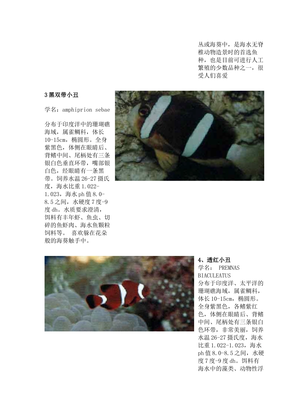热带海水观赏鱼图鉴_第2页
