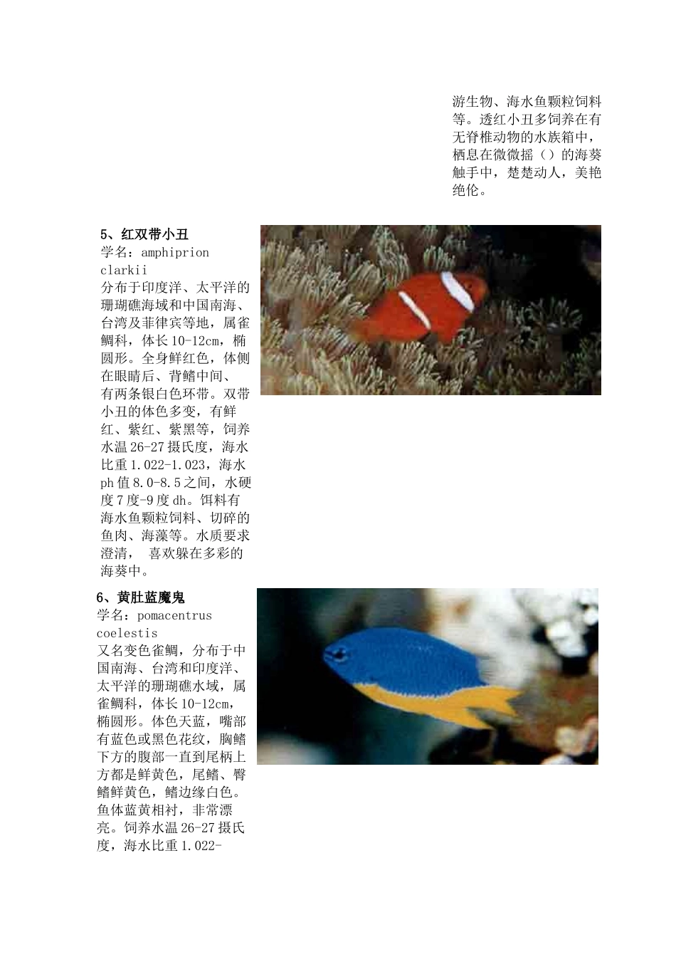 热带海水观赏鱼图鉴_第3页