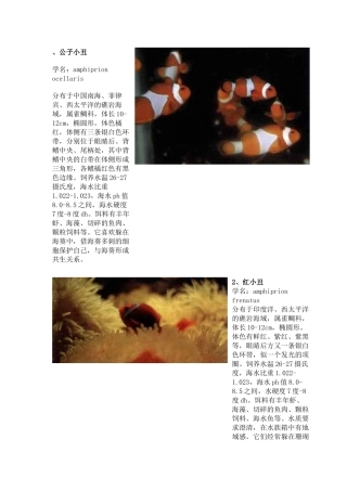 热带海水观赏鱼图鉴