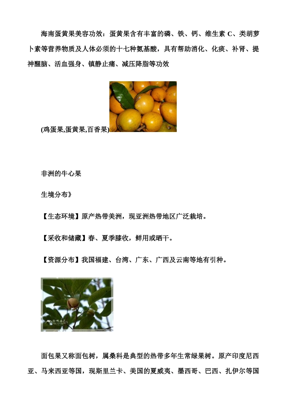 热带水果之蛋黄果_第3页