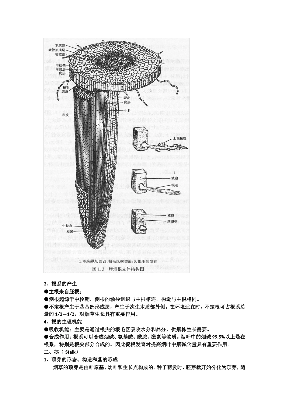 烟草栽培第二章栽培的生物学基础_第3页