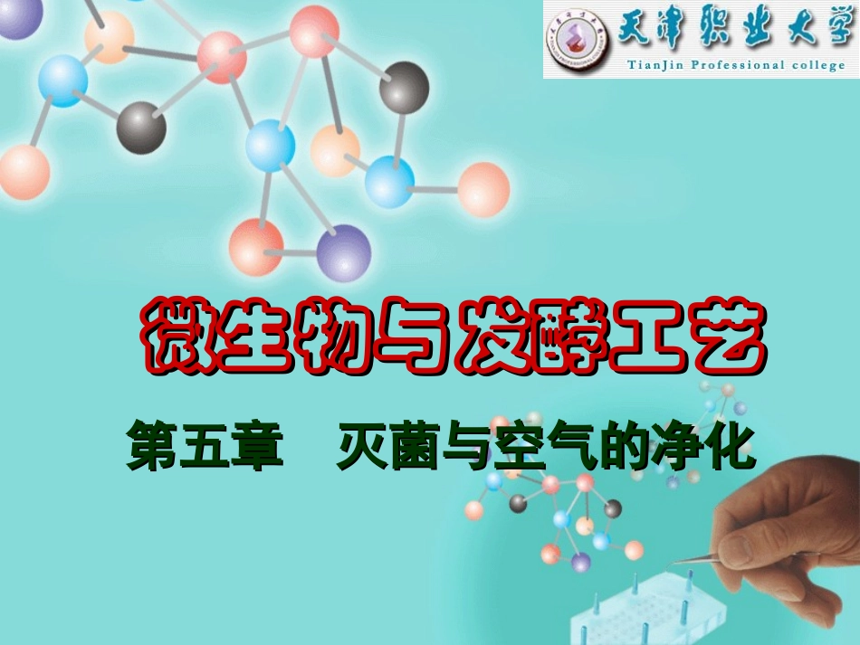 灭菌与空气的净-发酵工艺原理_第1页