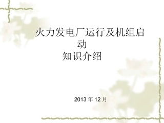 火力发电厂运行及机组启动介绍