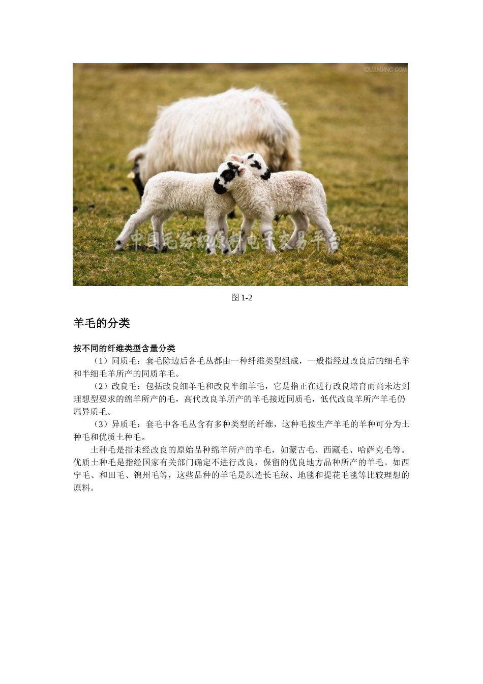 澳毛和国毛对比_第2页