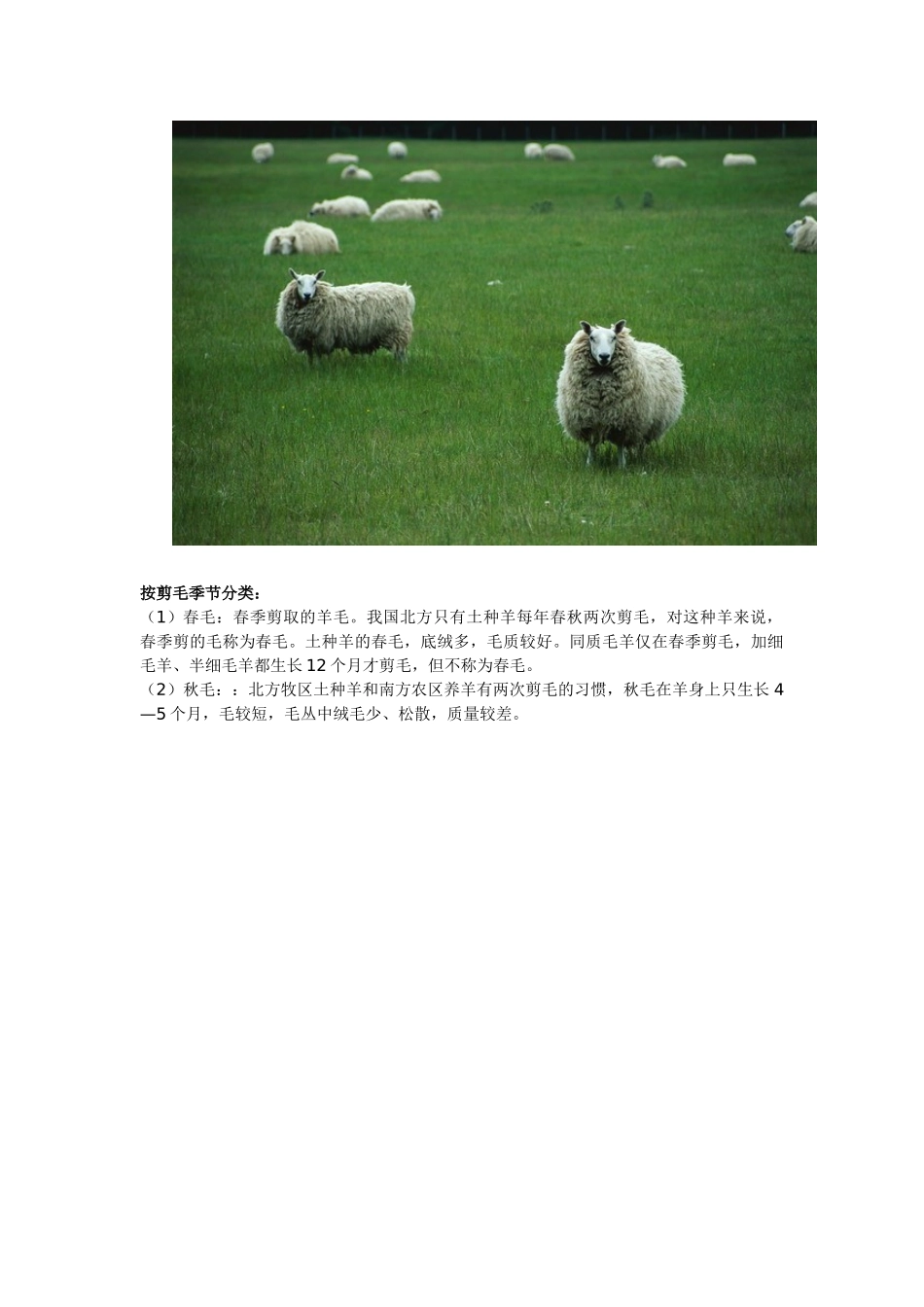 澳毛和国毛对比_第3页