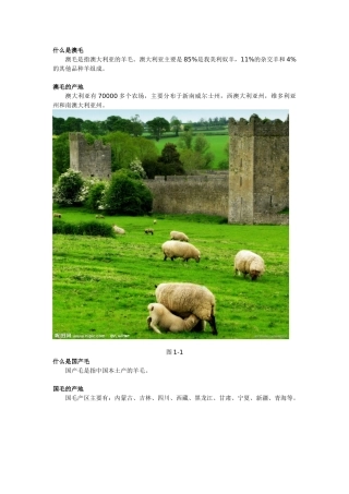 澳毛和国毛对比