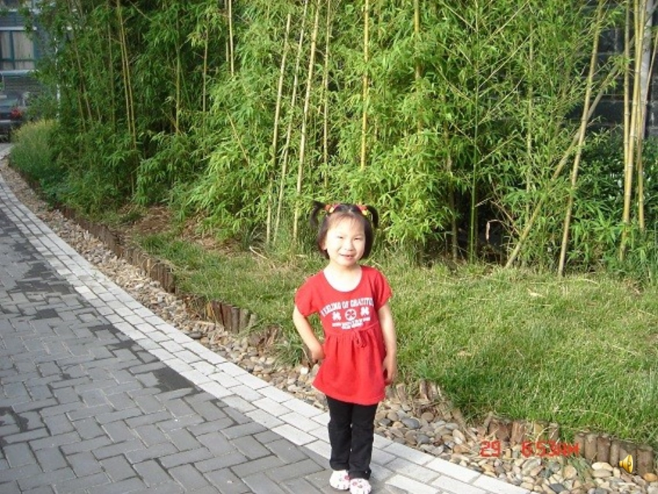 演示文稿父母的疼爱_第3页