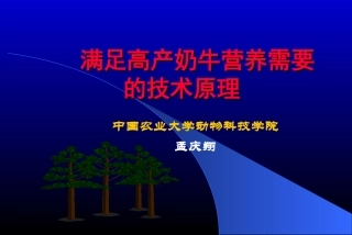 满足高产奶牛营养需要