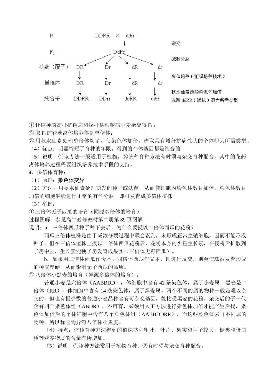 溧阳三中 生物育种专题教案_第2页