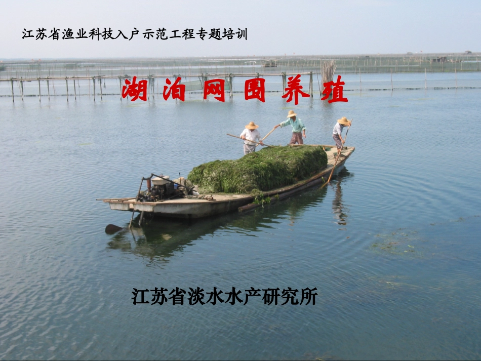 湖泊网围养殖_第1页