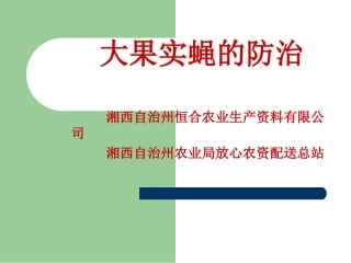 湘西大果实蝇的防治