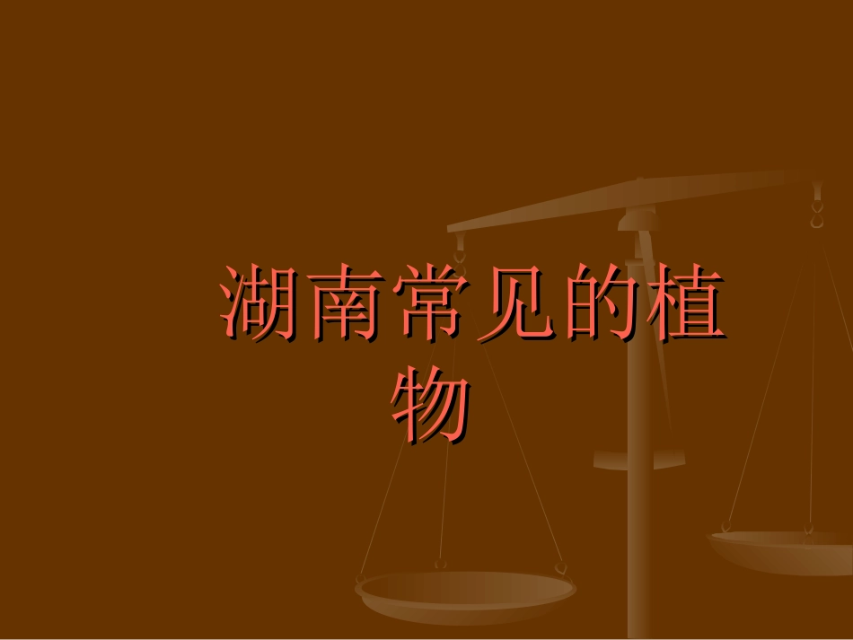 湖南常见植物_第1页