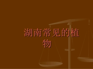 湖南常见植物