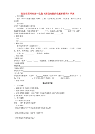 湖北省荆州市高一生物《捕获光能的色素和结构》学案