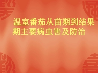 温室番茄从苗期到结果期主要病虫害及防治