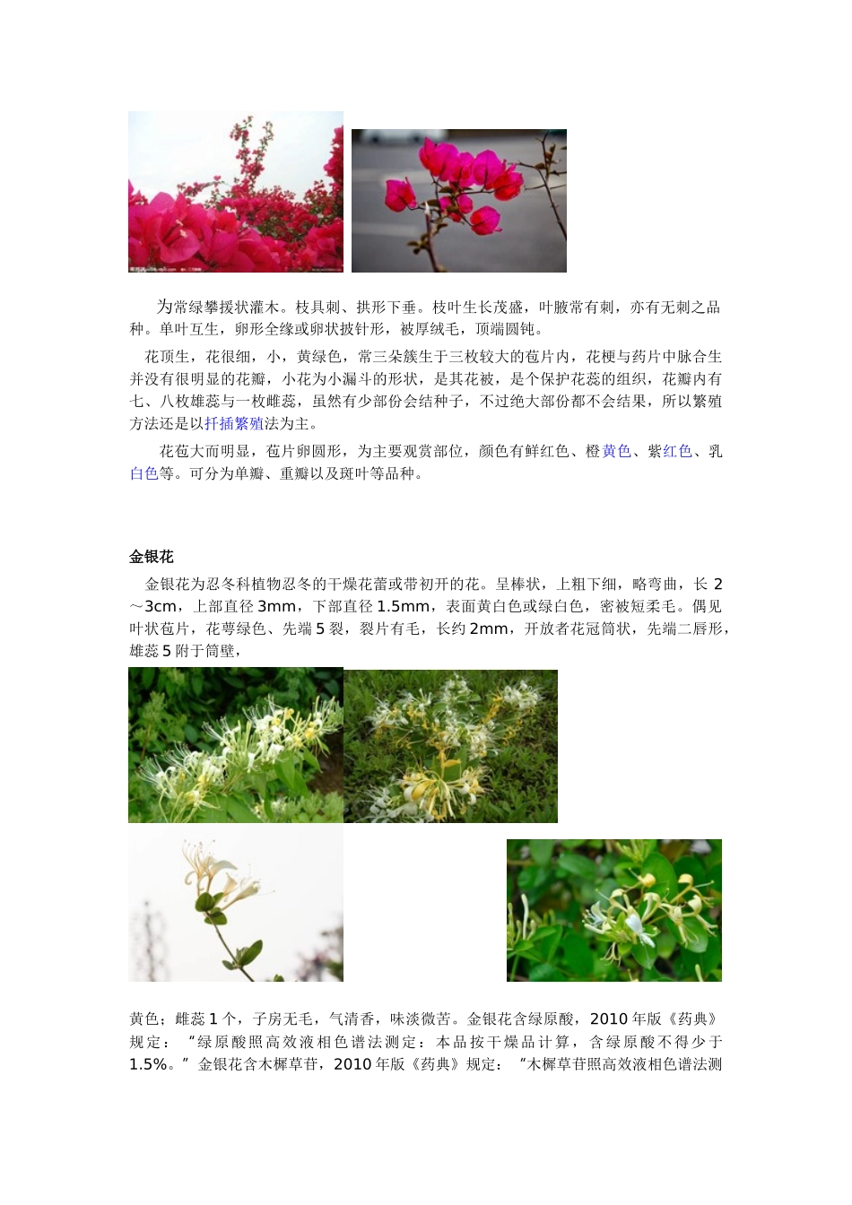 深圳常见绿化植物_第2页