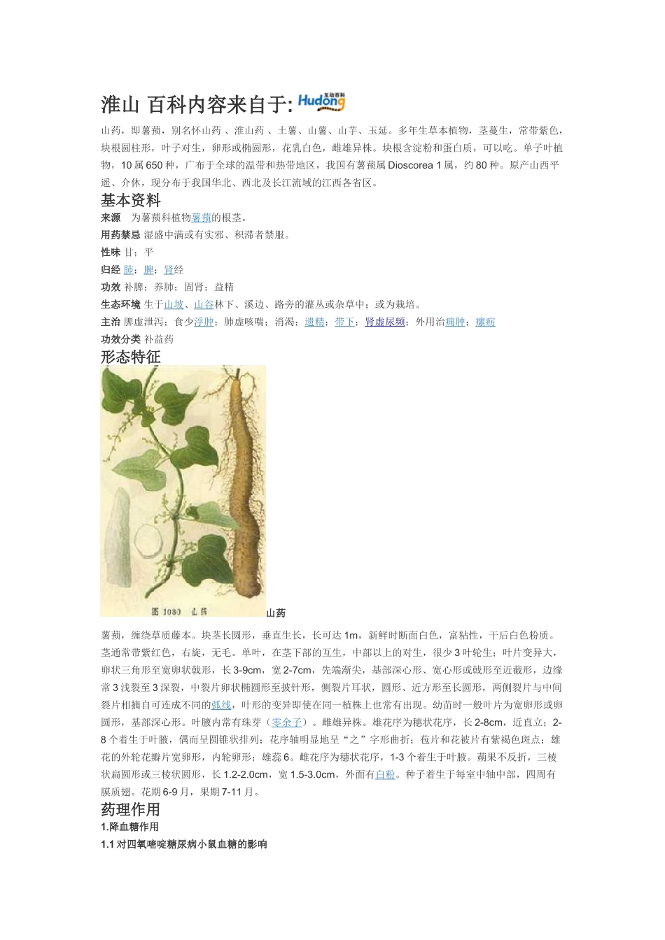 淮山高产量种植技术_第1页