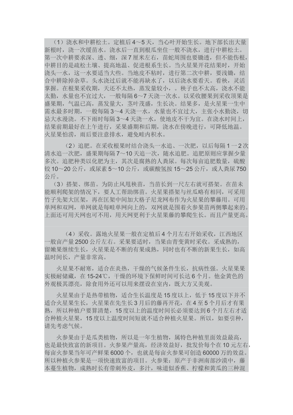 海参果 海参果种子 植物海参_第3页