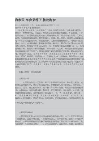 海参果 海参果种子 植物海参