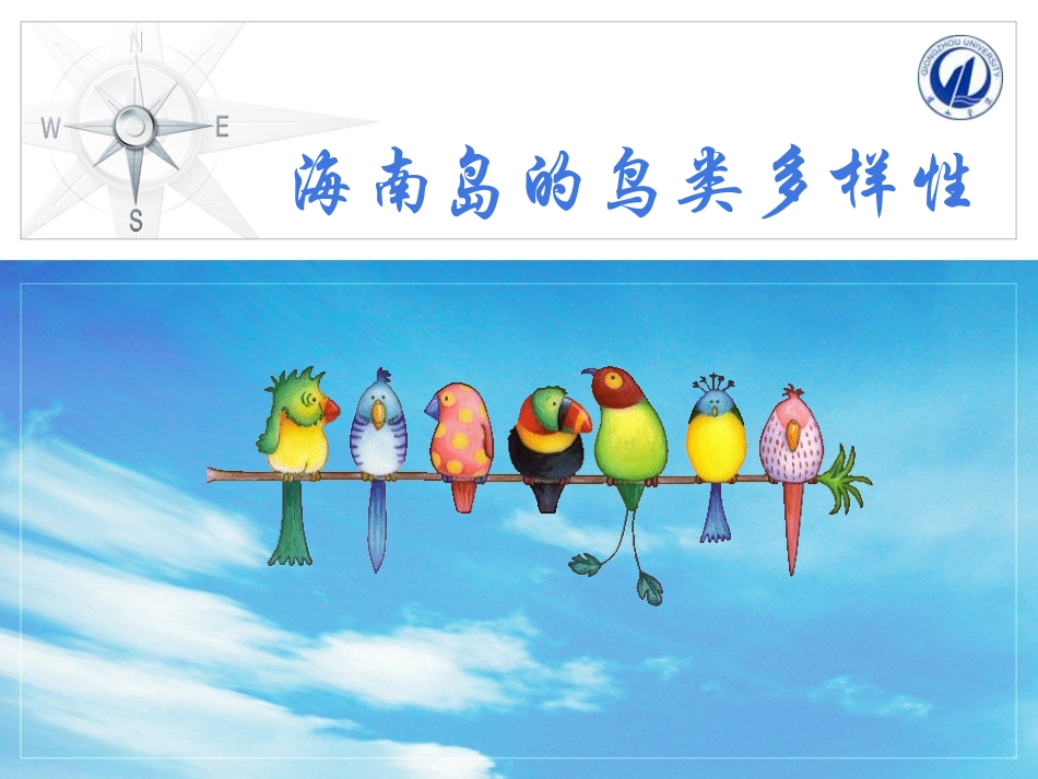 海南岛鸟类多样性_第1页