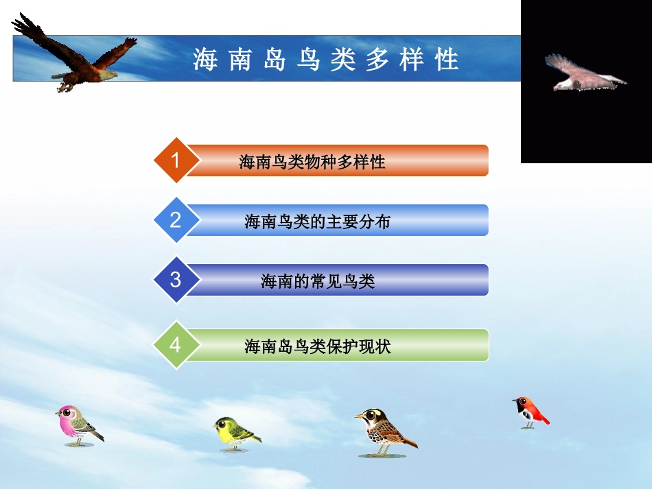 海南岛鸟类多样性_第2页