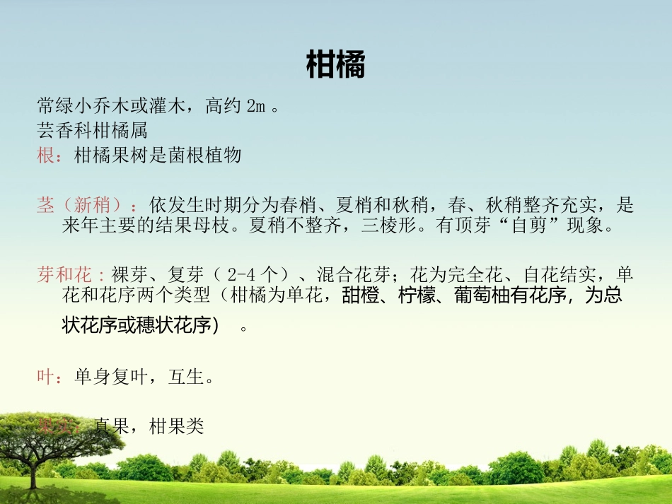 浙江省常见果树识别_第3页