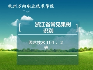 浙江省常见果树识别