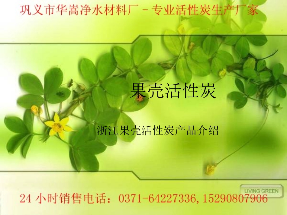 浙江果壳活性炭_第1页