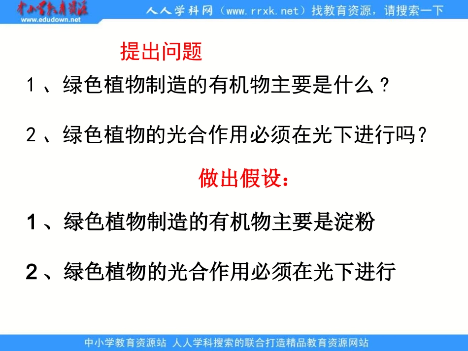 济南版七上《绿色植物的光合作用》ppt课件_第2页